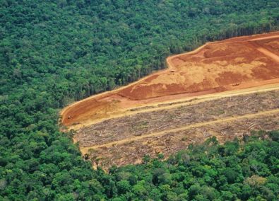 AMAZONDeforestation6