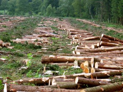 AMAZONdeforestation2