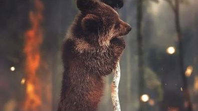 ANIMALSHurtAmazonFire6
