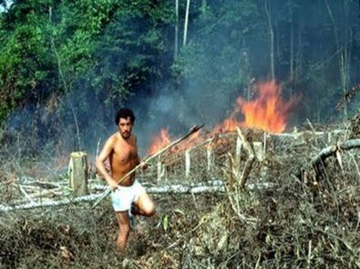 CAUSEAmazonSlashBurnFarming