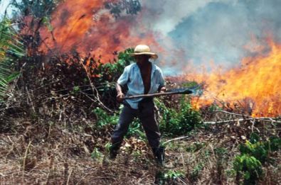 CAUSEAmazonfiresslashburnfarming2