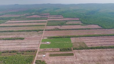 CAUSEMenoniteFarmsCerradoForestSanta-CruzBolivia