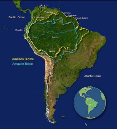 MAPamazon