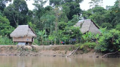 RainforestVillage