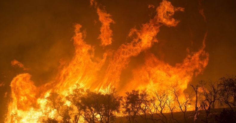 fire_7