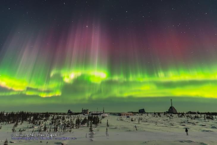 Aurora_03-04_Manitoba_byAlanDyerr